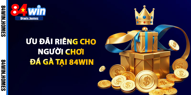 Ưu Đãi Riêng Cho Người Chơi Đá Gà Tại 84WIN